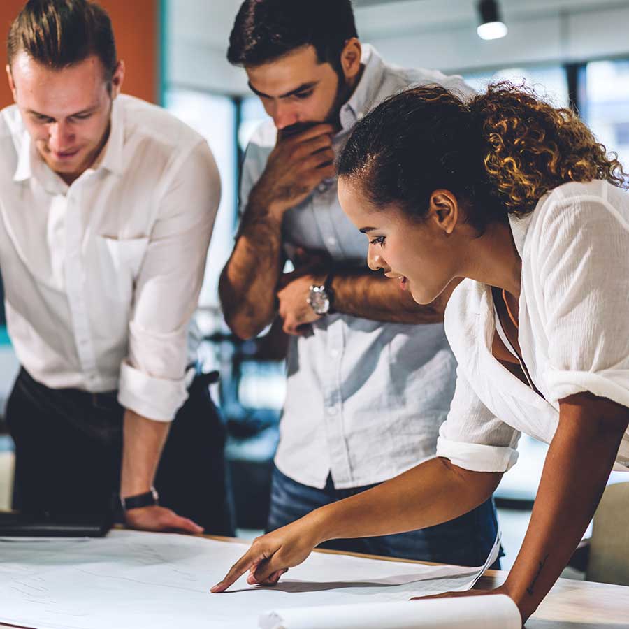 People Reviewing Plans